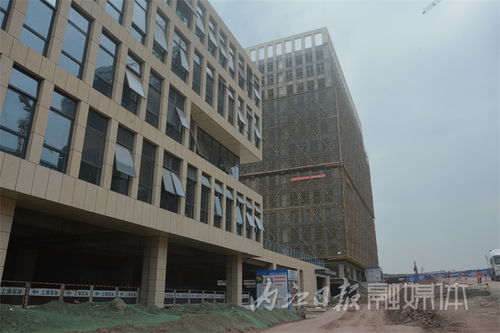 多向發力，激活內江軟件外包服務新動能