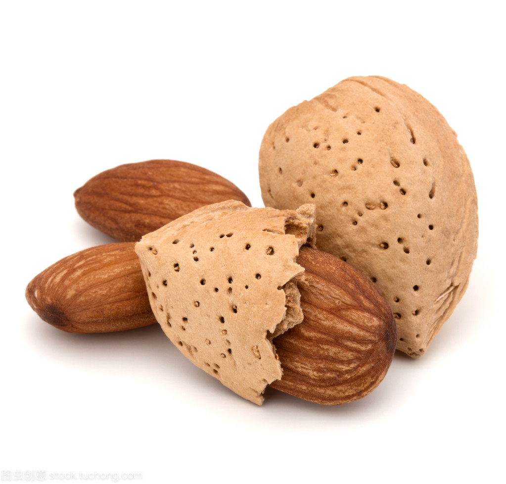 堅果的守護者 從杏仁看堅果殼與外殼的多重價值