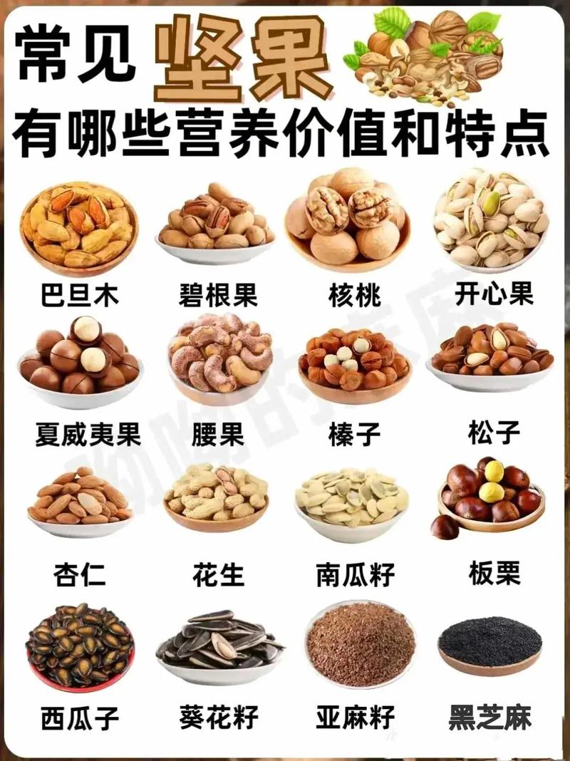 常見堅果的營養寶庫 揭秘小小堅果的健康密碼